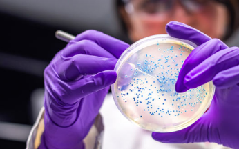 Kanti Labs: Chemical Testing