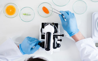 Kanti Labs: Chemical Testing